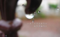 世界板球校园活动暑期推广效果数据发布，世界板球联合会