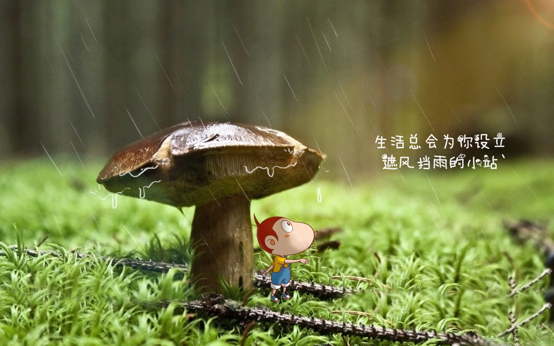 2026世界杯期间全天候足坛动态播报:AI深度学习自动生成即时比分系统