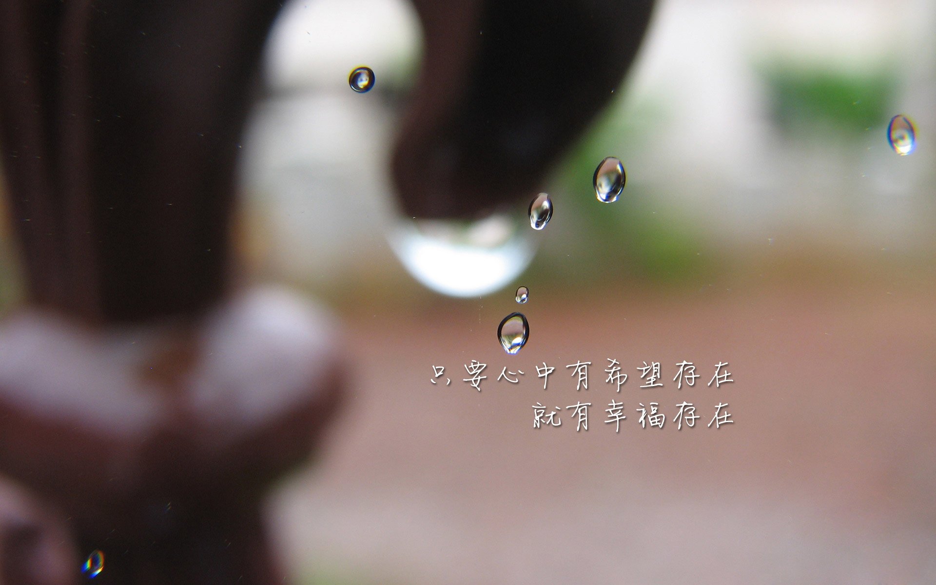 世界板球校园活动暑期推广效果数据发布，世界板球联合会